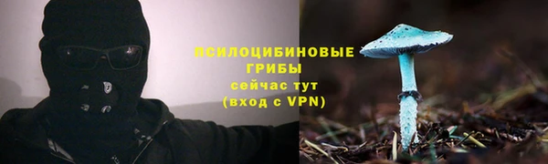 метамфетамин Гусь-Хрустальный
