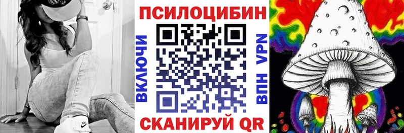 Галлюциногенные грибы мицелий  Новочебоксарск 